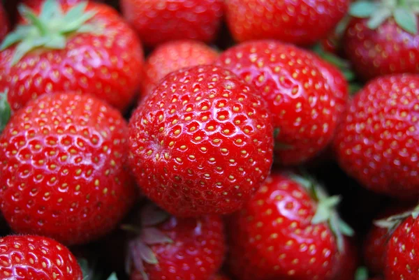 stock image Strawberrys close up