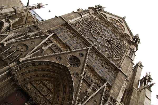 Notre dame Katedrali Önden Görünüm — Stok fotoğraf