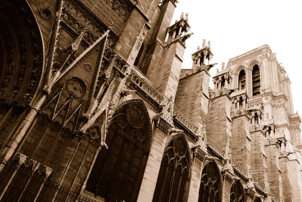Notre Dame Cathedral side view in sepia — Stock Photo, Image
