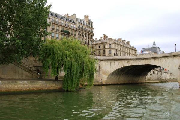 Seine setin üzerine yeşil söğüt — Stok fotoğraf