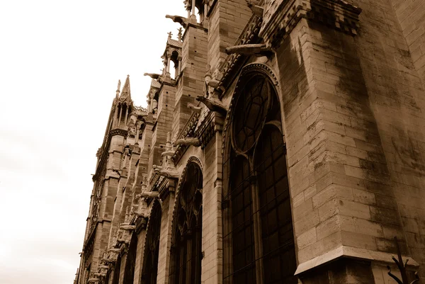 Vista lateral de la Catedral de Notre Dame en sepia —  Fotos de Stock