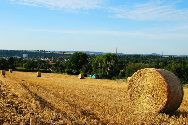 Hay field with round haystacks and the v — Stock Photo, Image