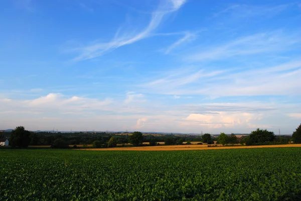 Fields and sky with cloudscape — Stock Photo, Image