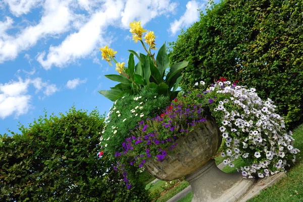 Helle Blumen in Steinvase — Stockfoto