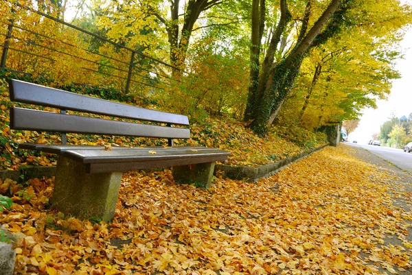 Panca vuota e foglie dorate — Foto Stock