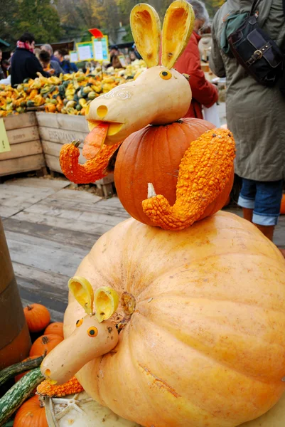 Pumpkin statue of kangaroo with baby — Stock Photo, Image