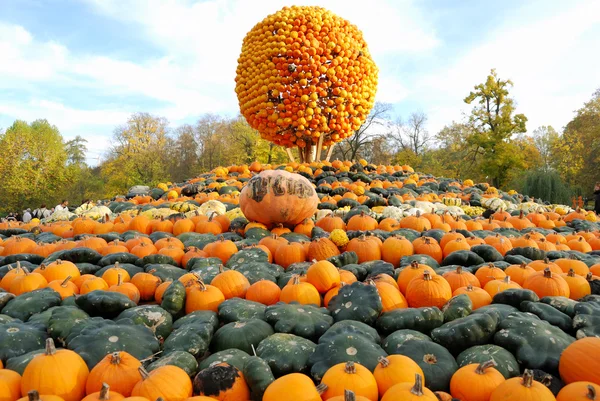 Heap of pumpkins and pumpkin sphere — Stock Photo, Image
