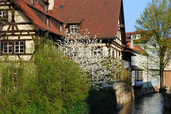Garden in bloom, Stuttgart-Esslingen — Stock Photo, Image