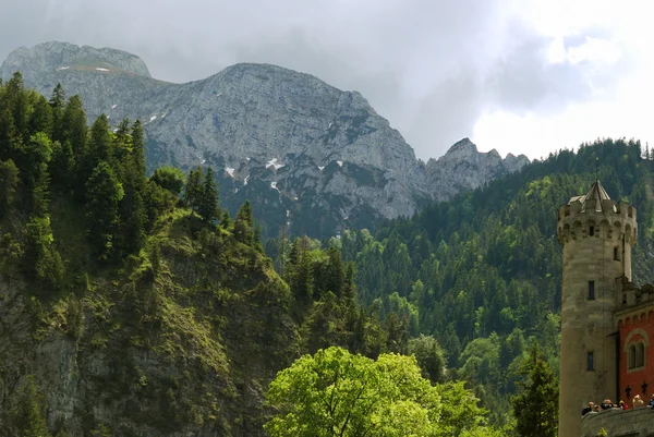 Alps forest and tower of Neuschwanstein — Stock Photo, Image