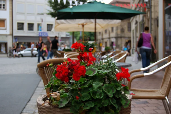 Red flowers and street cafe — Stock Photo, Image