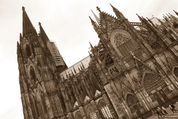 Cologne cathedral in sepia, Germany — Stock Photo, Image