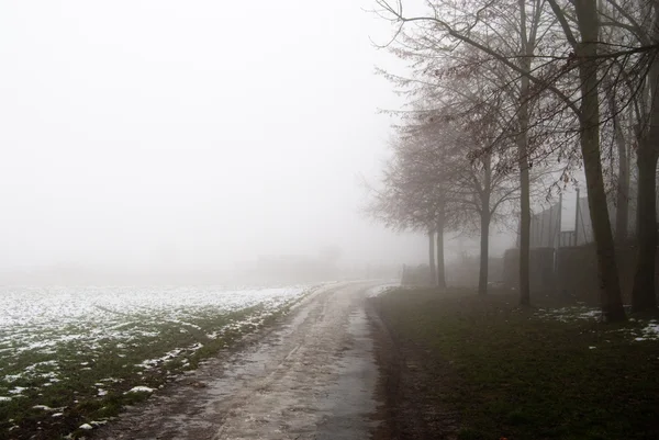 Mystic lane in the fog — Stock Photo, Image