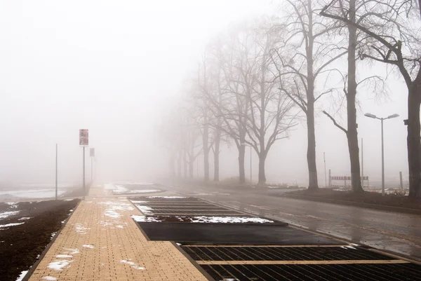 The foggy road to nowhere — Stock Photo, Image