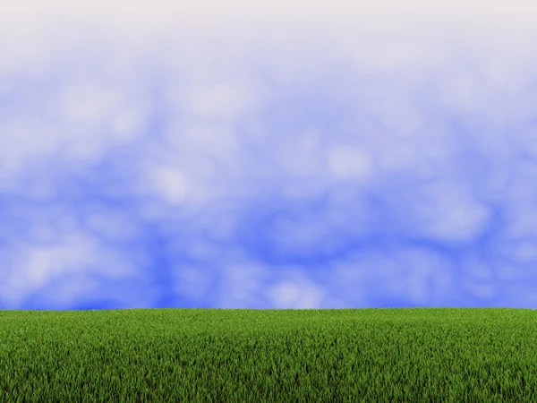 Sky och grönt gräs — Stockfoto