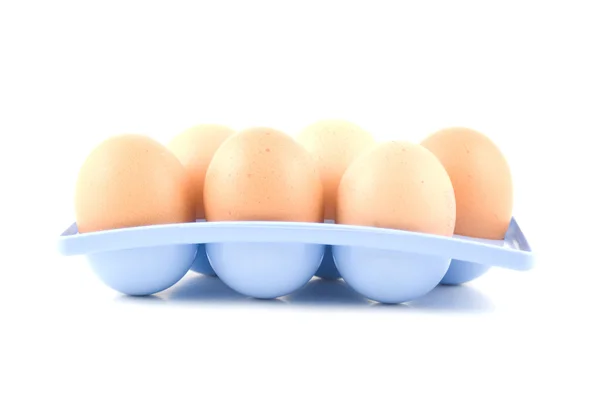 Eggs in a blue egg tray — Stock Photo, Image