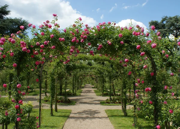 Fransız Bahçe Pergola — Stok fotoğraf