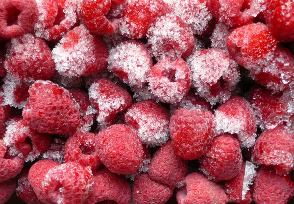 언된 나무 딸기 — 스톡 사진