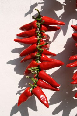 Drying pepper bunches clipart