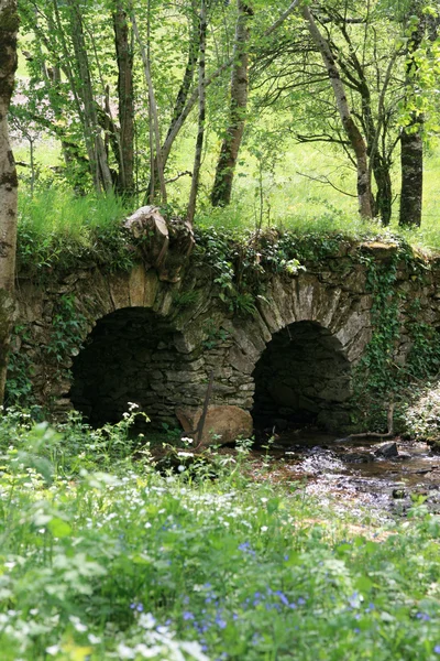 Mały most na rzece — Zdjęcie stockowe