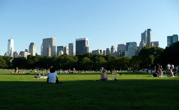 Central park in summer — Stock Photo, Image