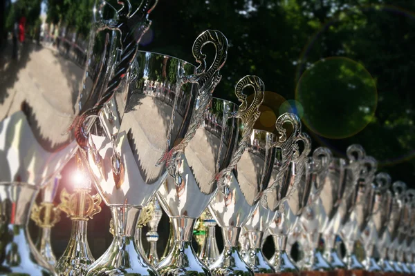 Copos de troféu — Fotografia de Stock