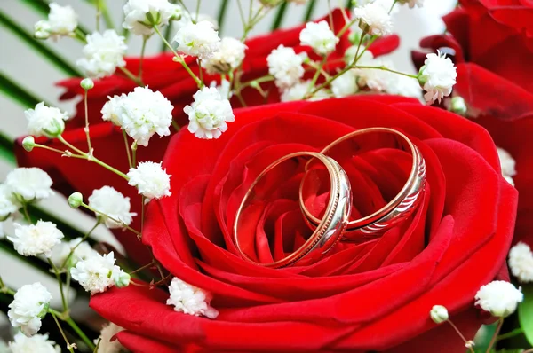 Rings on red rose — Stock Photo, Image