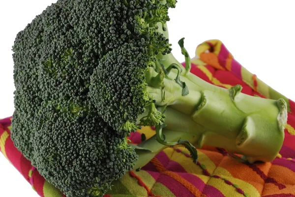 Fresh green Broccoli — Stock Photo, Image