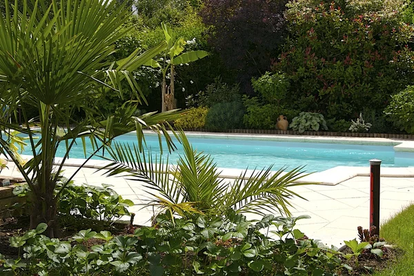 stock image Swimming pool