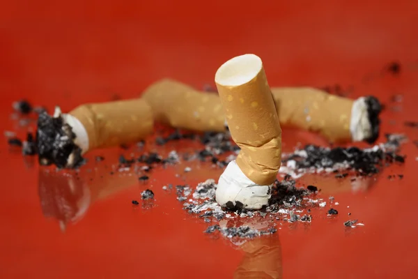 Cigarrette mégots — Photo