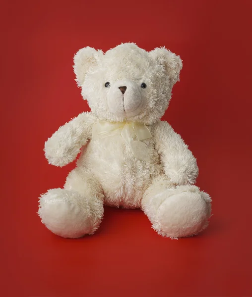 Teddy — Stock Photo, Image
