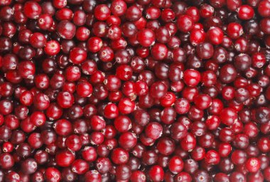 Cranberries clipart