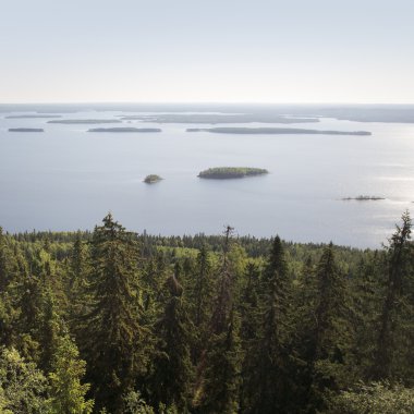 Finnish landscape clipart