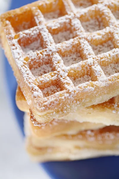 stock image Waffles