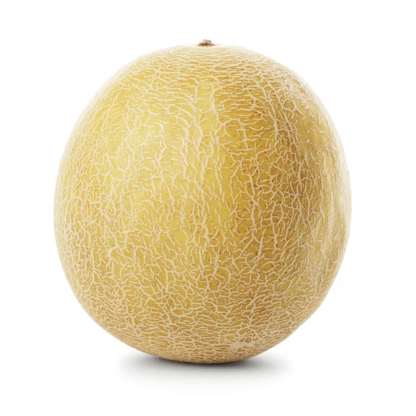 Melon Galia — Stok Foto