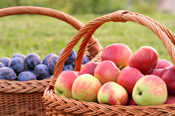 Jablka a švestky — Stock fotografie