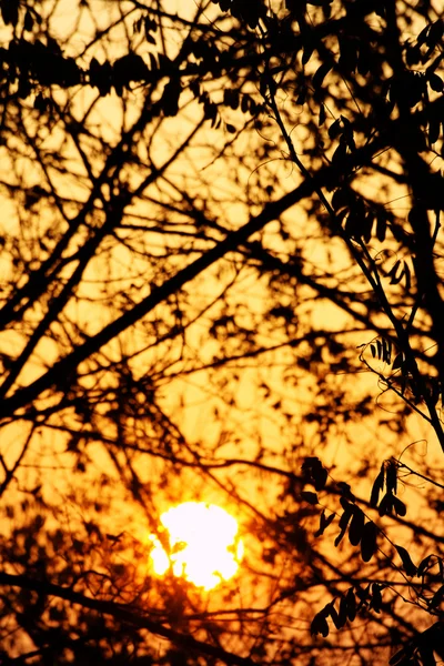 Jesienią zachód słońca — Zdjęcie stockowe