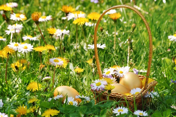 Cesto di uova di Pasqua d'oro — Foto Stock