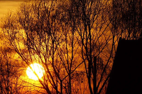 Дивовижні восени захід сонця — стокове фото