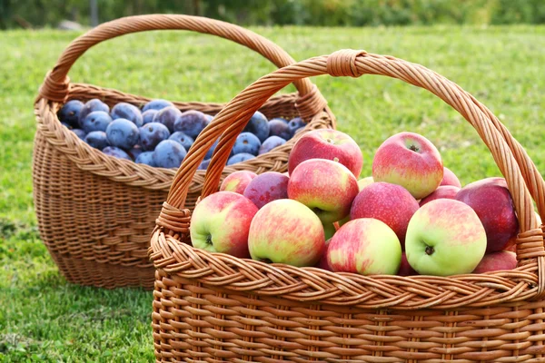 Pommes et prunes — Photo