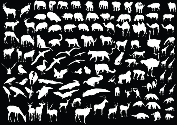 Тварина Африки — стоковий вектор