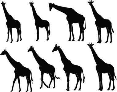 Download Giraffe Silhouette Free Vector Eps Cdr Ai Svg Vector Illustration Graphic Art