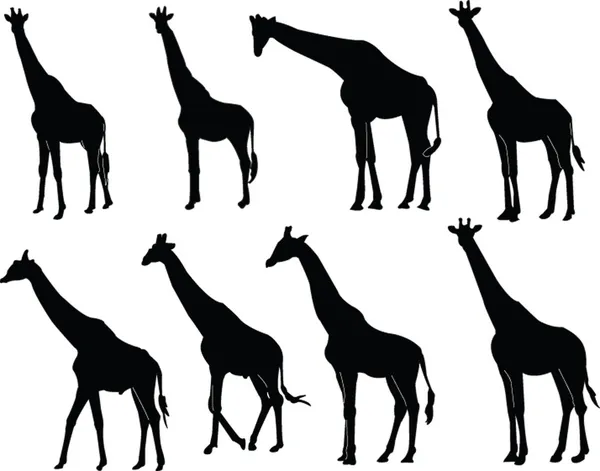 Kolekce žirafa silueta — Stockový vektor
