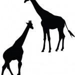 Collection giraffe silhouette — Stock Vector © vule46 #2086263