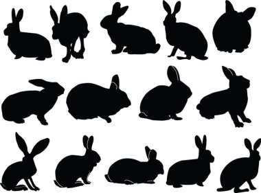 Collection of bunny clipart