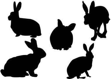 Bunny colection clipart