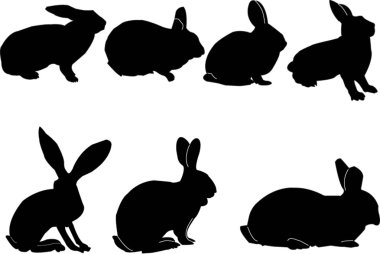 Bunnies collection clipart