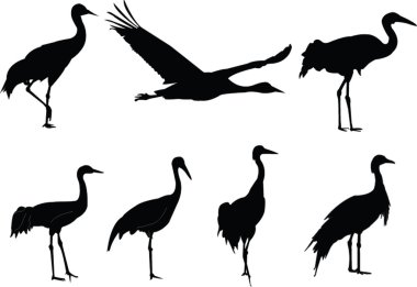 Cranes collection clipart