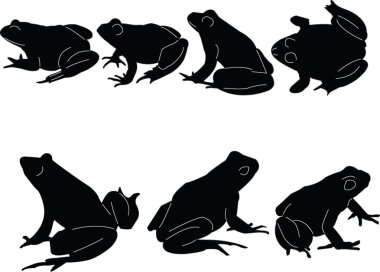 Frogs collection clipart