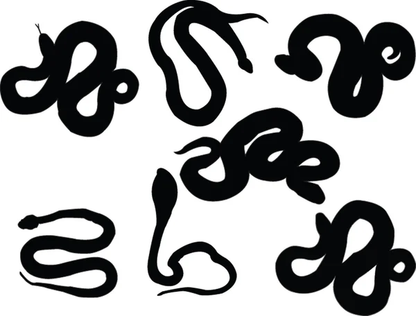 Collection of snake silhouette — Stock Vector © vule46 #2095099