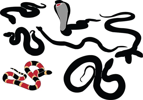 Collection of snake silhouette — Stock Vector © vule46 #2094965